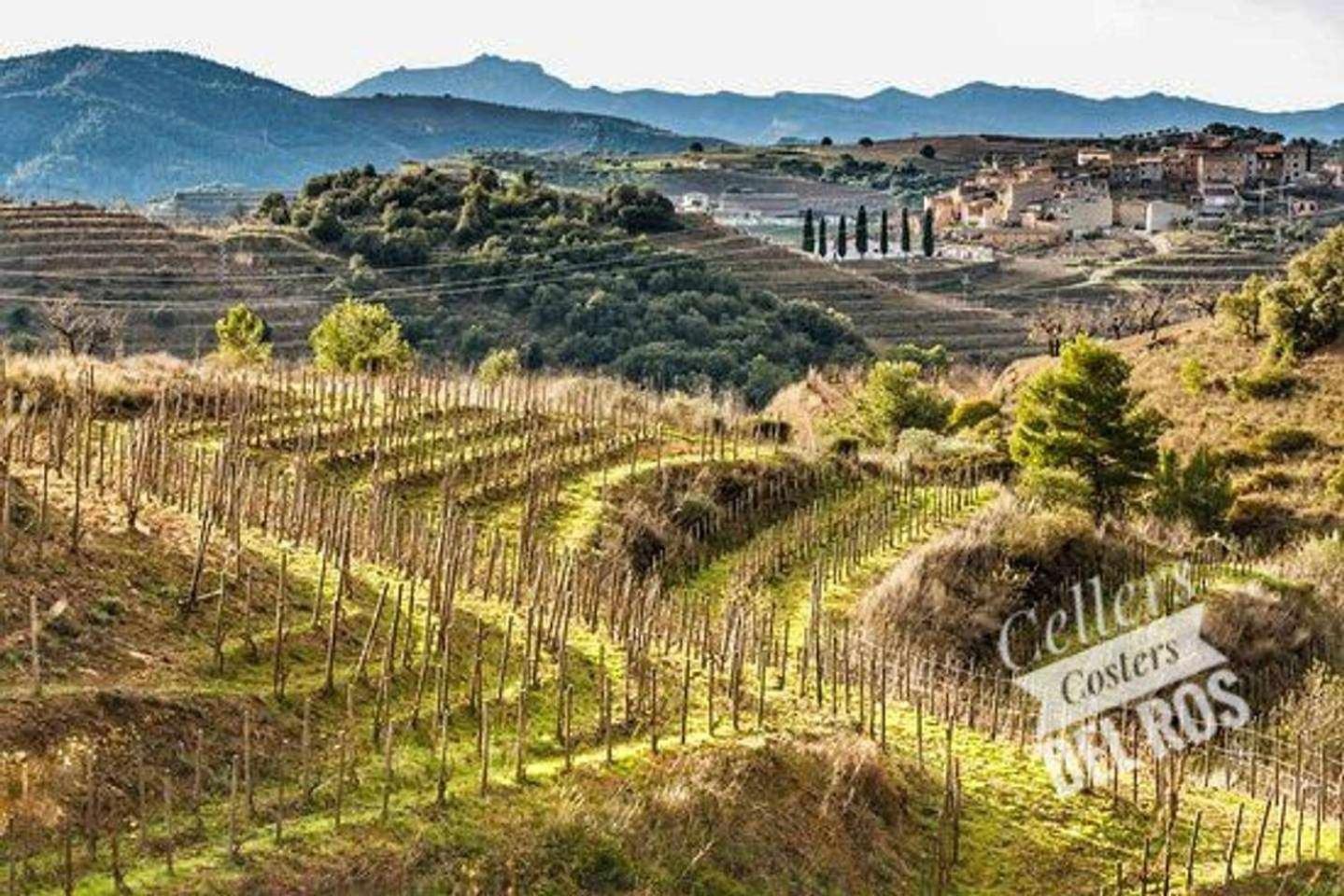 غراتالوبس Ca Laixut Turismo Rural المظهر الخارجي الصورة